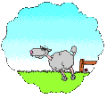 gameznet-animated-sheep-021.gif