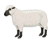 gameznet-animated-sheep-027.gif