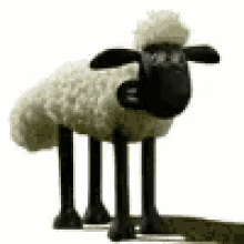 gameznet-animated-sheep-031.gif