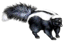 skunk-transparent-background-gameznet-06.gif