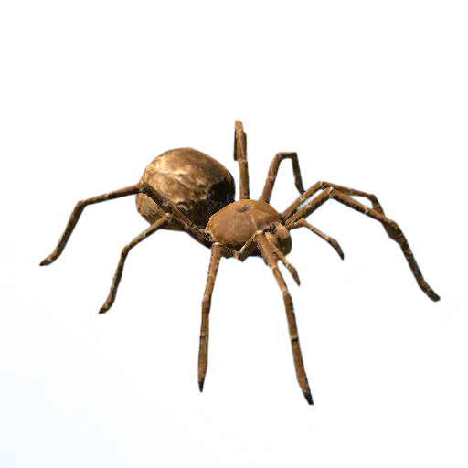 spider-transparent-bg-gameznet-00019.png