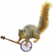 gameznet-animated-squirrels-026.gif