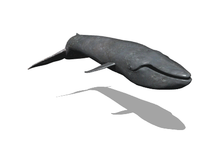 gameznet-animated-whales-006.gif