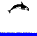 gameznet-animated-whales-020.gif