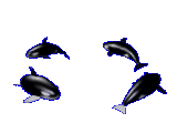 gameznet-animated-whales-021.gif