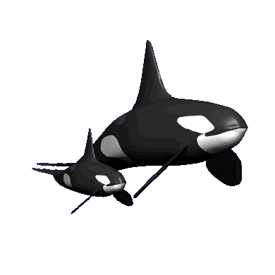 gameznet-animated-whales-024.gif