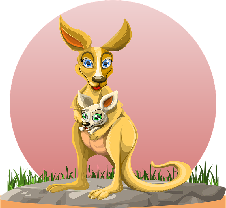 australia-cute-cartoon-kangaroo.png