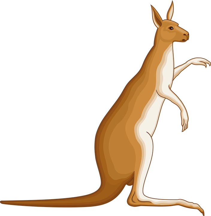 kangaroo-coat-arms.png
