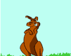 wed_kangaroo.gif