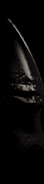 alien-animated-gif-gameznet-00128.gif
