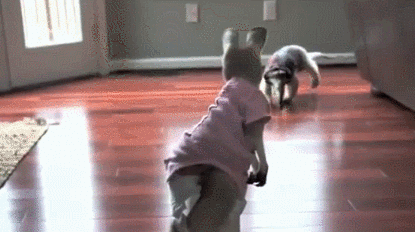 kangaroo-free-animated-gifs-gameznet-011.gif