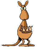 kangaroo-free-animated-gifs-gameznet-012.gif