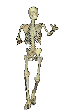 skeleton-sn-walk-1-b.gif