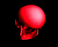 skull-animation-gif-1.gif