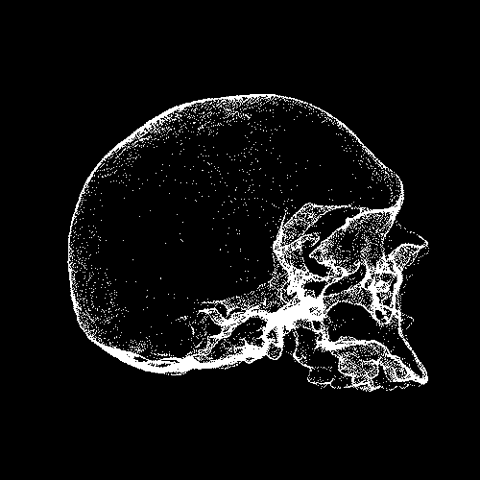 skull-animation-gif-2.gif