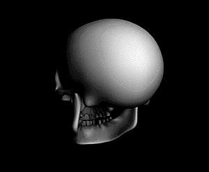skull-animation-gif-4.gif