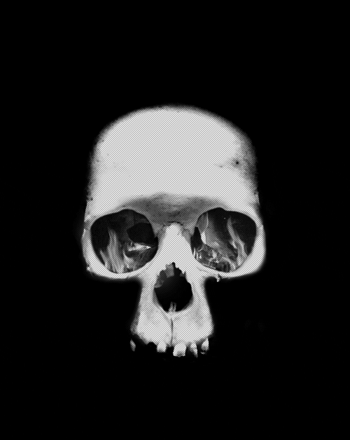 skull-animation-gif.gif