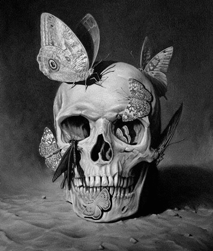 skull-with-butterflies-animated-gif-image.gif