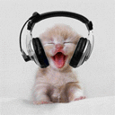 animated-kitten-cat-gif-079