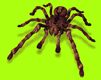 gameznet-animated-spider-001