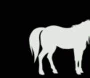 gameznet-animated-unicorn-001 gameznet-animated-unicorn-001
