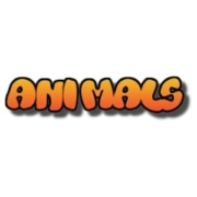 animals animals