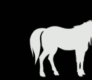 gameznet-animated-unicorn-001 gameznet-animated-unicorn-001