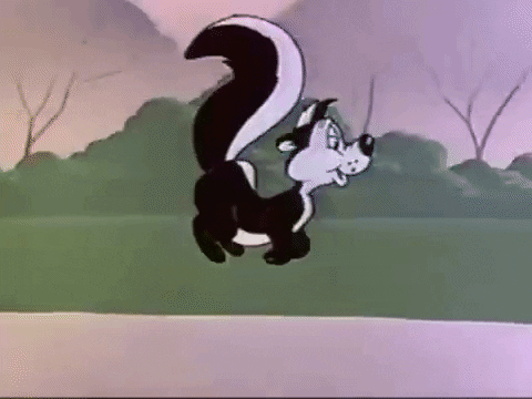 Animated Skunk Gifs