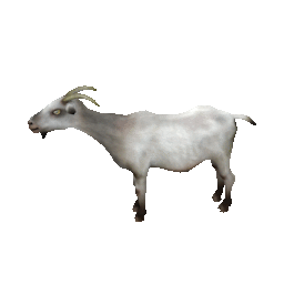 Free Animated Goat Gifs