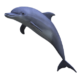 dolphin-transparent-background-gameznet-05