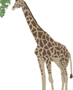 free-girafe-animated-gifs free-girafe-animated-gifs
