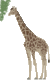 free-girafe-animated-gifs