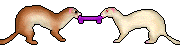gameznet-animated-ferrets-018 gameznet-animated-ferrets-018