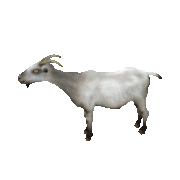 goat-animated-gifs-gameznet goat-animated-gifs-gameznet