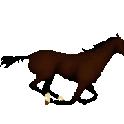 horse-animated-gifs-gameznet horse-animated-gifs-gameznet