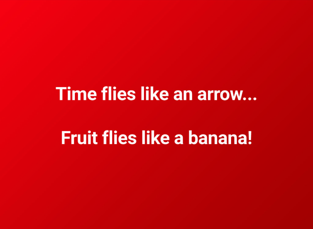 an aweful pun about time and fruit flies