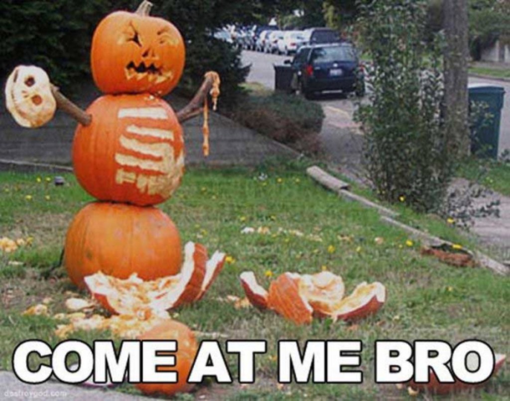funny halloween meme pumpkin
