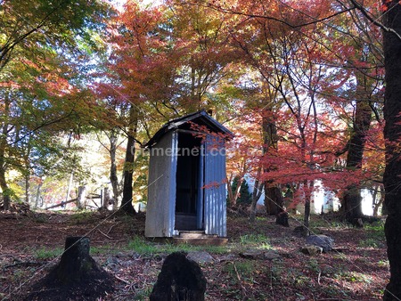 outhouse under autumn leaves - Gameznet Royalty Free Stock Media