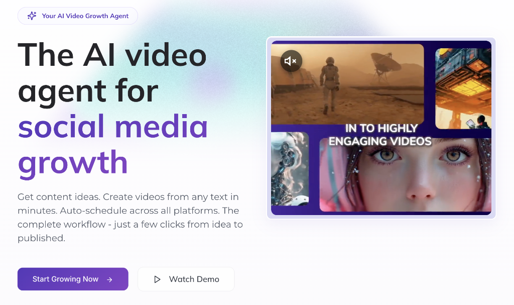 zebracaat-screenshot 01