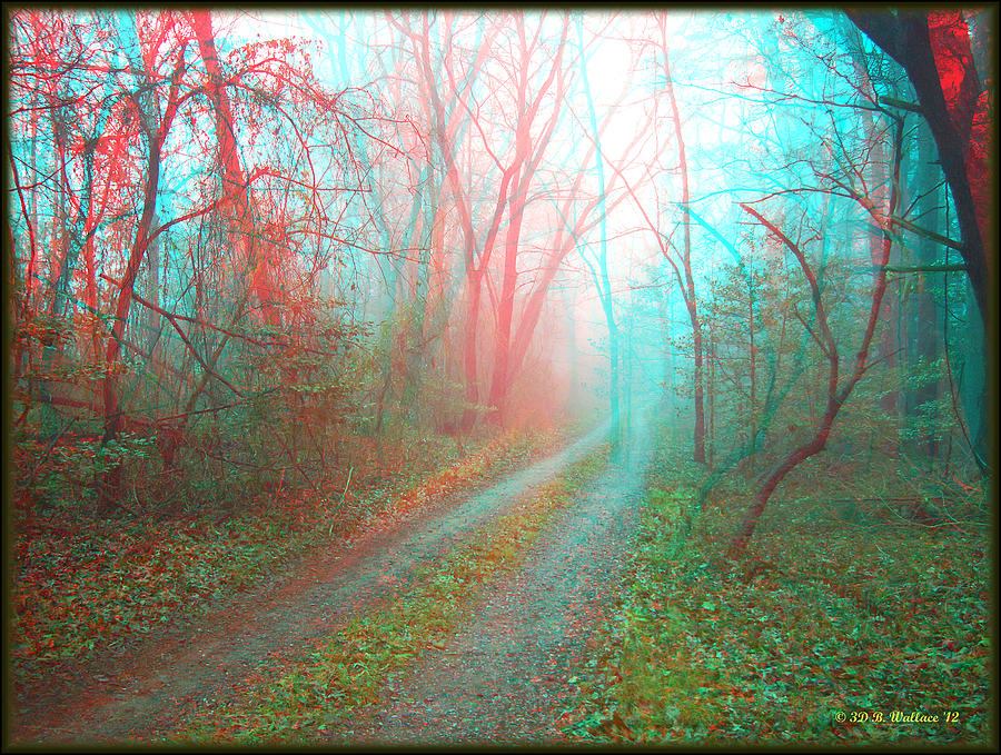 misty-country-road-use-red-cyan-filtered-3d-glasses-brian-wallace