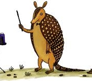armadillo-audio-sounds-gameznet armadillo-audio-sounds-gameznet