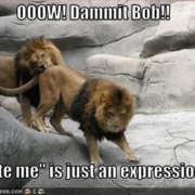 bite me lion meme