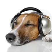 dog-and-puppy-sounds-audio-download-free-gameznet dog-and-puppy-sounds-audio-download-free-gameznet