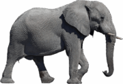 elephant-transparent-background-gameznet-01