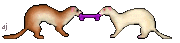 gameznet-animated-ferrets-018