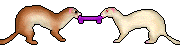 gameznet-animated-ferrets-018 gameznet-animated-ferrets-018