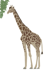 free-girafe-animated-gifs