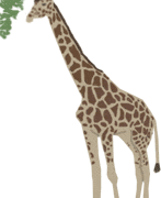 free-girafe-animated-gifs free-girafe-animated-gifs