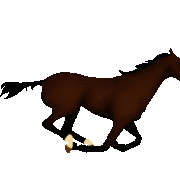 horse-animated-gifs-gameznet horse-animated-gifs-gameznet