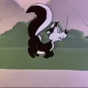 gameznet-animated-skunk-002 gameznet-animated-skunk-002